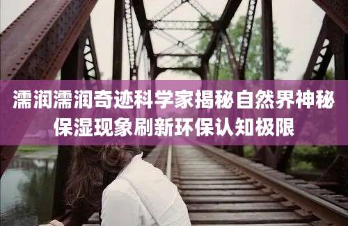 濡润濡润奇迹科学家揭秘自然界神秘保湿现象刷新环保认知极限