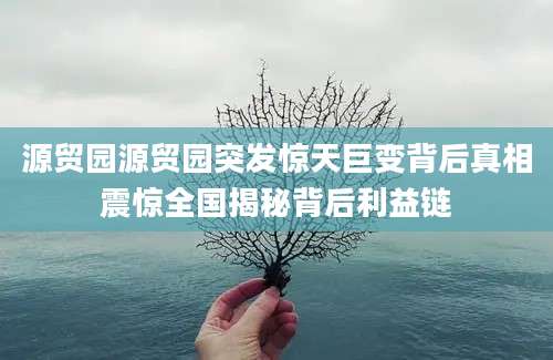 源贸园源贸园突发惊天巨变背后真相震惊全国揭秘背后利益链