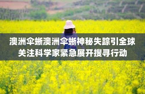 澳洲伞蜥澳洲伞蜥神秘失踪引全球关注科学家紧急展开搜寻行动