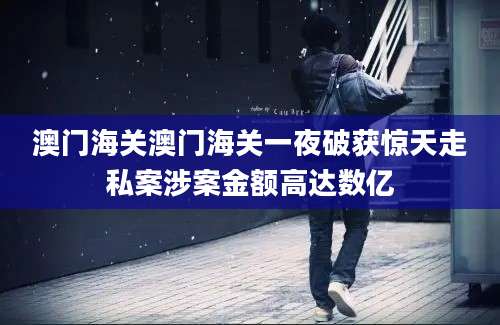 澳门海关澳门海关一夜破获惊天走私案涉案金额高达数亿