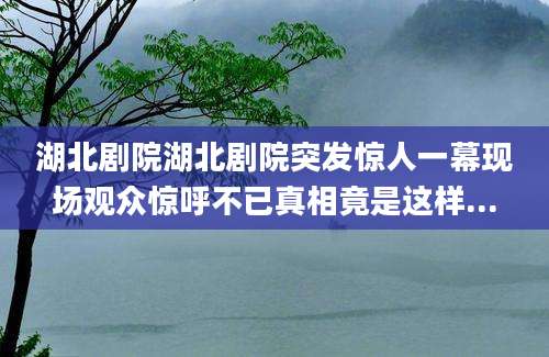 湖北剧院湖北剧院突发惊人一幕现场观众惊呼不已真相竟是这样...