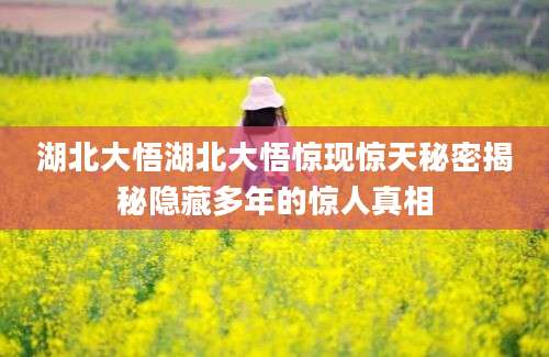 湖北大悟湖北大悟惊现惊天秘密揭秘隐藏多年的惊人真相
