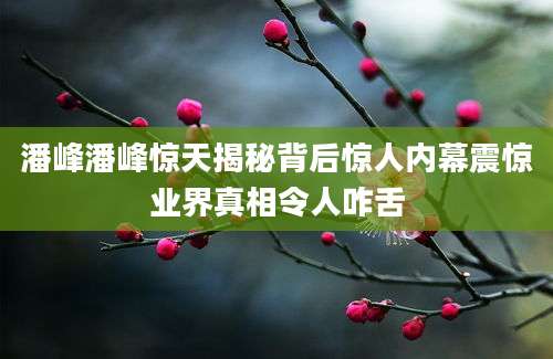潘峰潘峰惊天揭秘背后惊人内幕震惊业界真相令人咋舌