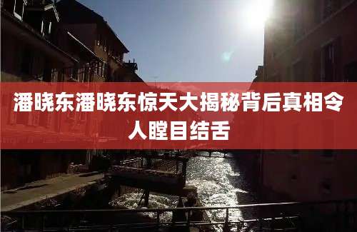 潘晓东潘晓东惊天大揭秘背后真相令人瞠目结舌