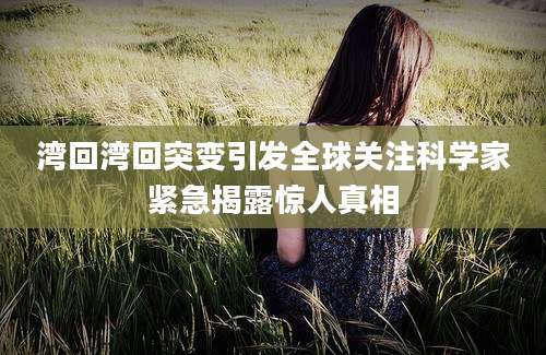 湾回湾回突变引发全球关注科学家紧急揭露惊人真相