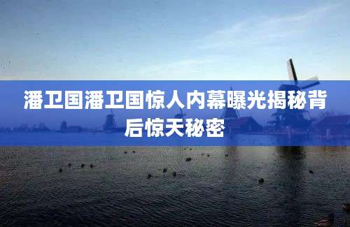 潘卫国潘卫国惊人内幕曝光揭秘背后惊天秘密
