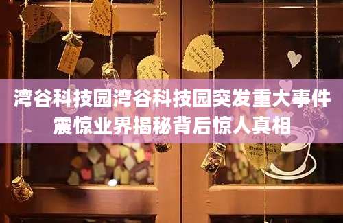 湾谷科技园湾谷科技园突发重大事件震惊业界揭秘背后惊人真相