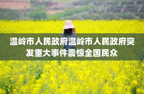 温岭市人民政府温岭市人民政府突发重大事件震惊全国民众