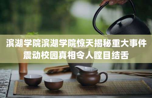 滨湖学院滨湖学院惊天揭秘重大事件震动校园真相令人瞠目结舌