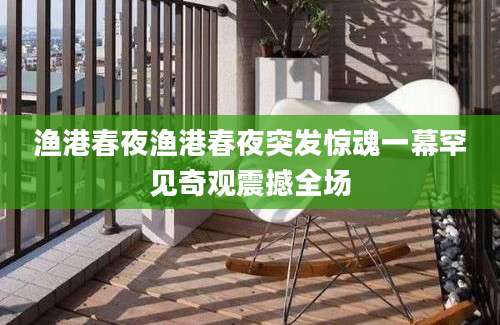渔港春夜渔港春夜突发惊魂一幕罕见奇观震撼全场