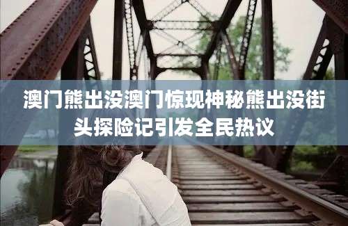 澳门熊出没澳门惊现神秘熊出没街头探险记引发全民热议