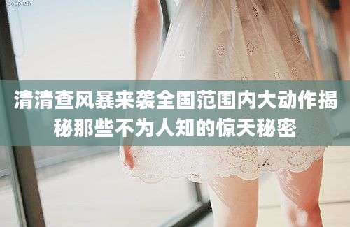 清清查风暴来袭全国范围内大动作揭秘那些不为人知的惊天秘密