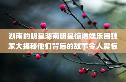 湖南的明星湖南明星惊爆娱乐圈独家大揭秘他们背后的故事令人震惊