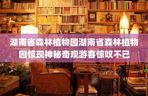 湖南省森林植物园湖南省森林植物园惊现神秘奇观游客惊叹不已