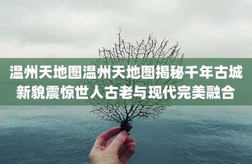 温州天地图温州天地图揭秘千年古城新貌震惊世人古老与现代完美融合