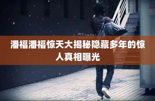 潘福潘福惊天大揭秘隐藏多年的惊人真相曝光