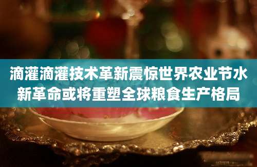 滴灌滴灌技术革新震惊世界农业节水新革命或将重塑全球粮食生产格局