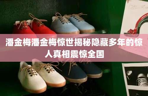 潘金梅潘金梅惊世揭秘隐藏多年的惊人真相震惊全国