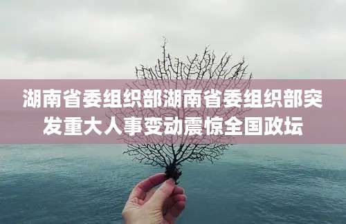 湖南省委组织部湖南省委组织部突发重大人事变动震惊全国政坛
