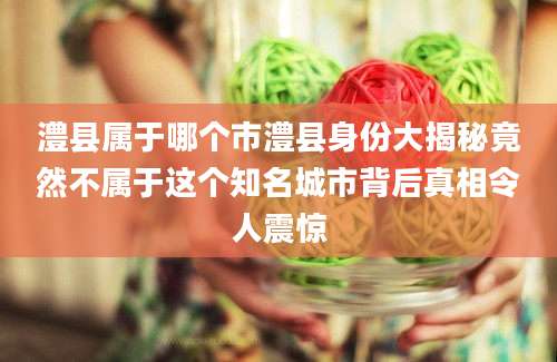 澧县属于哪个市澧县身份大揭秘竟然不属于这个知名城市背后真相令人震惊
