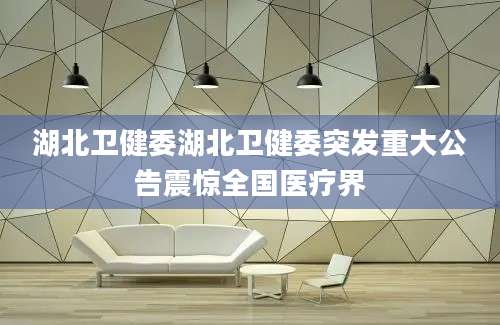湖北卫健委湖北卫健委突发重大公告震惊全国医疗界