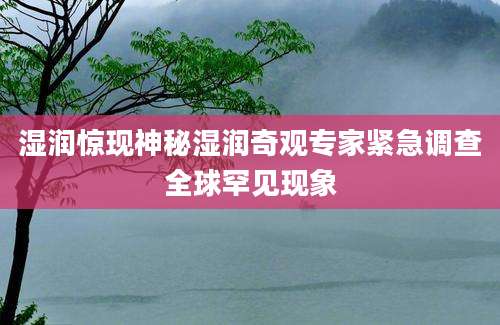 湿润惊现神秘湿润奇观专家紧急调查全球罕见现象