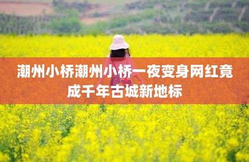 潮州小桥潮州小桥一夜变身网红竟成千年古城新地标