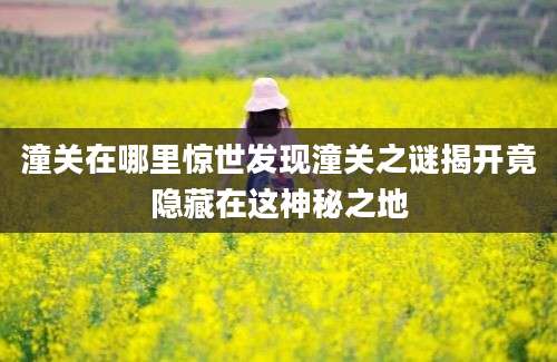 潼关在哪里惊世发现潼关之谜揭开竟隐藏在这神秘之地