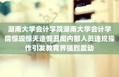 湖南大学会计学院湖南大学会计学院惊现惊天造假丑闻内部人员违规操作引发教育界强烈震动