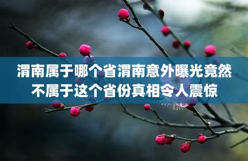 渭南属于哪个省渭南意外曝光竟然不属于这个省份真相令人震惊