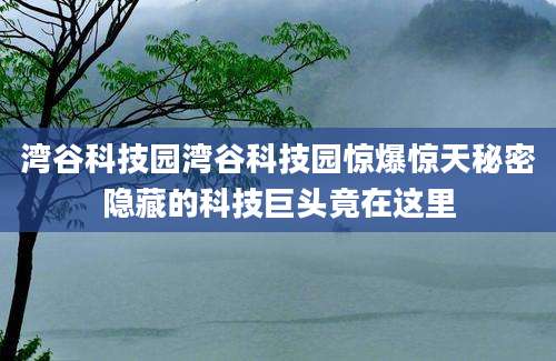 湾谷科技园湾谷科技园惊爆惊天秘密隐藏的科技巨头竟在这里