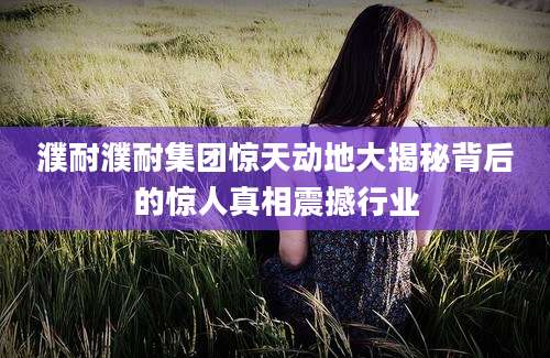 濮耐濮耐集团惊天动地大揭秘背后的惊人真相震撼行业