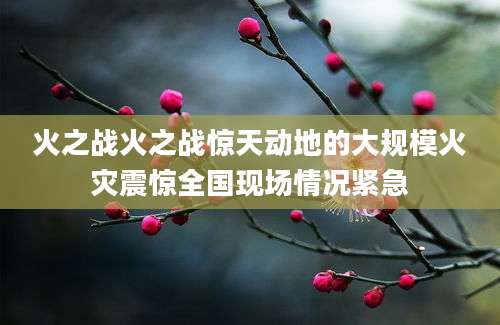 火之战火之战惊天动地的大规模火灾震惊全国现场情况紧急
