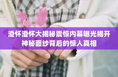 澄怀澄怀大揭秘震惊内幕曝光揭开神秘面纱背后的惊人真相