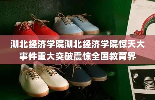 湖北经济学院湖北经济学院惊天大事件重大突破震惊全国教育界