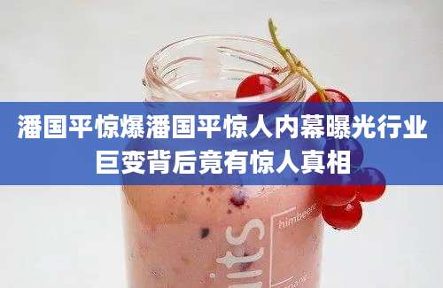 潘国平惊爆潘国平惊人内幕曝光行业巨变背后竟有惊人真相