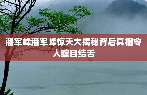 潘军峰潘军峰惊天大揭秘背后真相令人瞠目结舌