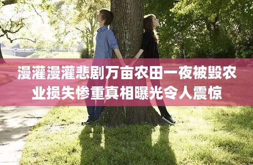 漫灌漫灌悲剧万亩农田一夜被毁农业损失惨重真相曝光令人震惊