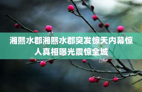 湘熙水郡湘熙水郡突发惊天内幕惊人真相曝光震惊全城