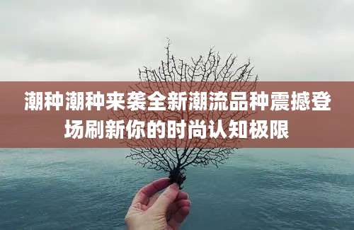 潮种潮种来袭全新潮流品种震撼登场刷新你的时尚认知极限