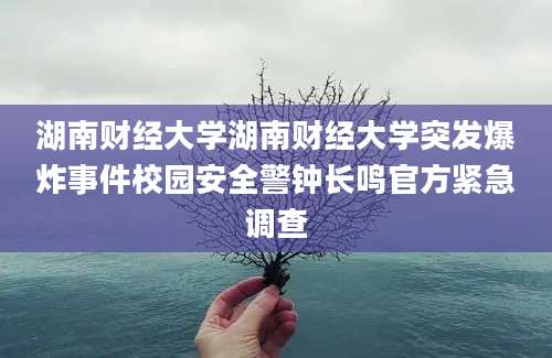 湖南财经大学湖南财经大学突发爆炸事件校园安全警钟长鸣官方紧急调查