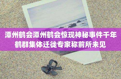 潭州鹤会潭州鹤会惊现神秘事件千年鹤群集体迁徙专家称前所未见