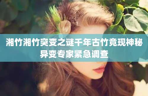 湘竹湘竹突变之谜千年古竹竟现神秘异变专家紧急调查