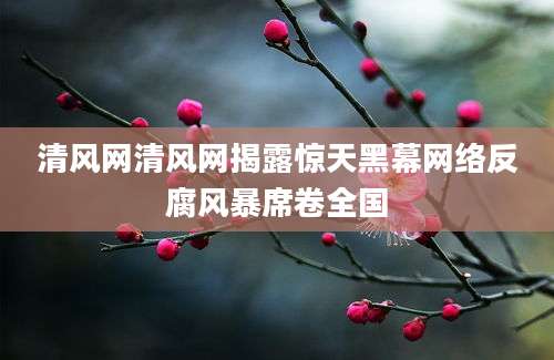 清风网清风网揭露惊天黑幕网络反腐风暴席卷全国
