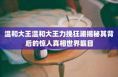 温和大王温和大王力挽狂澜揭秘其背后的惊人真相世界瞩目