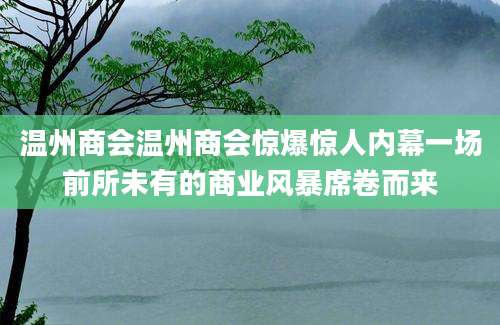 温州商会温州商会惊爆惊人内幕一场前所未有的商业风暴席卷而来