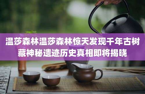 温莎森林温莎森林惊天发现千年古树藏神秘遗迹历史真相即将揭晓