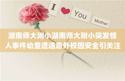 湖南师大附小湖南师大附小突发惊人事件幼童遭遇意外校园安全引关注