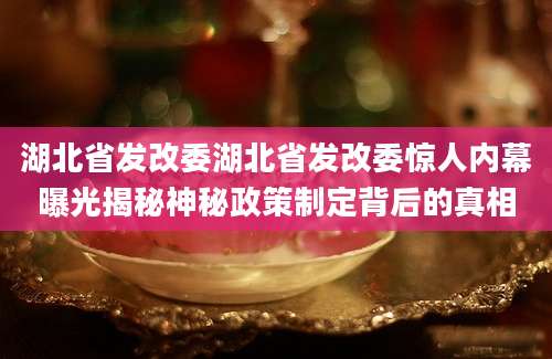 湖北省发改委湖北省发改委惊人内幕曝光揭秘神秘政策制定背后的真相