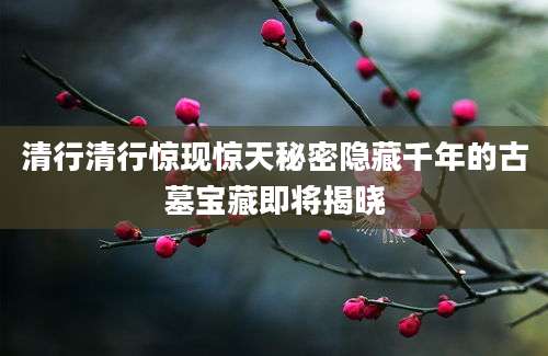 清行清行惊现惊天秘密隐藏千年的古墓宝藏即将揭晓